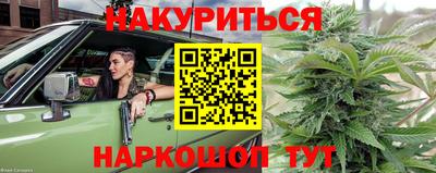 крисы Кунгур