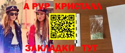 крисы Кунгур