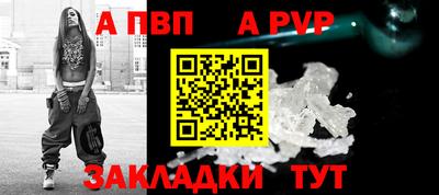 крисы Кунгур